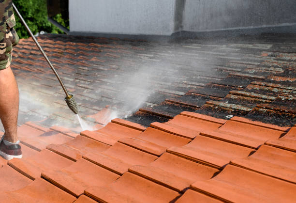Best Sidewalk Pressure Washing  in Bonney Lake, WA