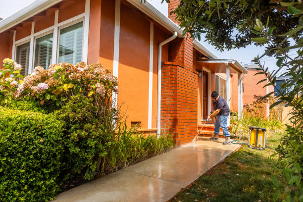 Roof Power Washing Services in Bonney Lake, WA